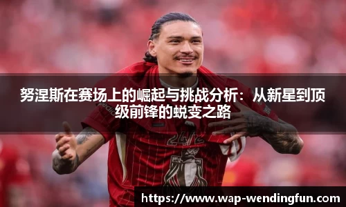 努涅斯在赛场上的崛起与挑战分析：从新星到顶级前锋的蜕变之路