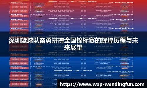 深圳篮球队奋勇拼搏全国锦标赛的辉煌历程与未来展望